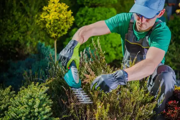 landscaping services Ohio City
